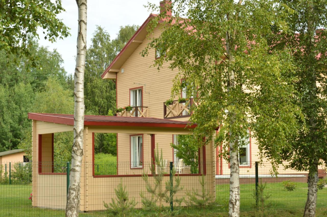 Lavandula Паланга Экстерьер фото