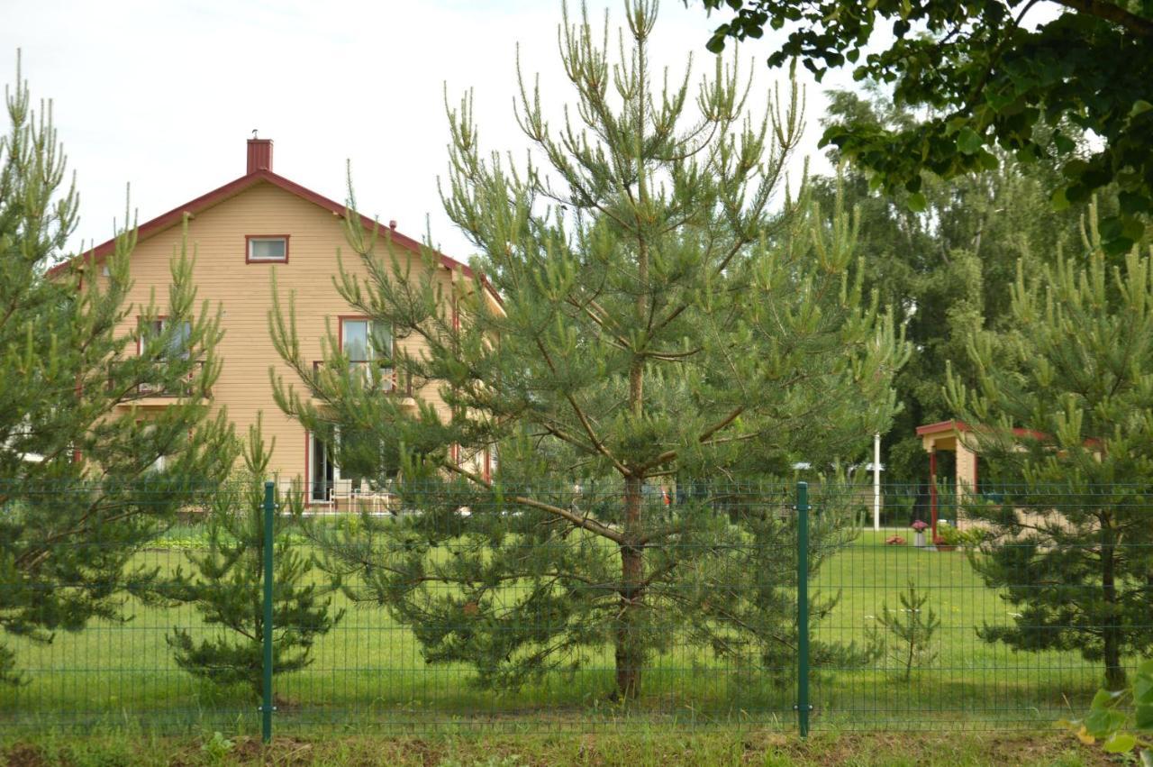 Lavandula Паланга Экстерьер фото